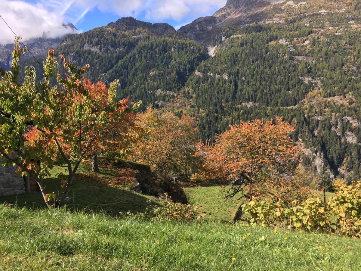 Chalet Le Trient Eksteriør billede
